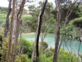 Stewart Island_027