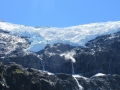 Fox Glacier_030