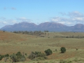 Flinders Ranges_0416