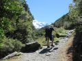 Fox Glacier_021